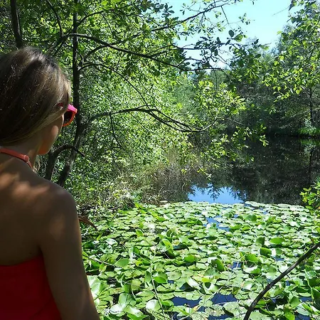 Theater- Und Koenigsleitn Gmbh Hotel Litschau