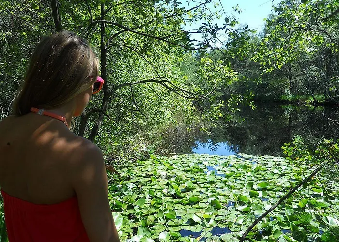 Theater- Und Koenigsleitn Gmbh 酒店 利乔